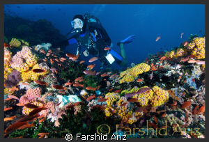 It was near the end of our dive when we got to this point... by Farshid Ariz 